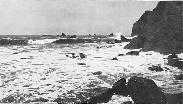 SURF ON WASHINGTON COAST