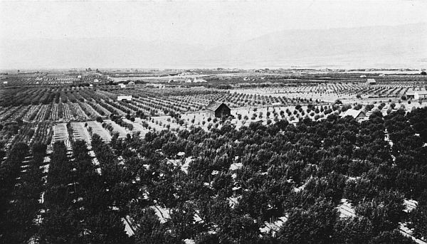 THE WENATCHEE VALLEY—NEAR THE CITY OF WENATCHEE.