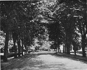 A SHADY BOULEVARD IN WALLA WALLA.