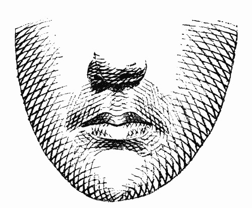 LINE EFFECT FOR FACE.  From the Annual Encyclopedia. Copyrighted, 1891, by D. Appleton & Co.