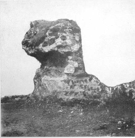 North-east corner of the Castle Wall, in Dog-kennel Yard