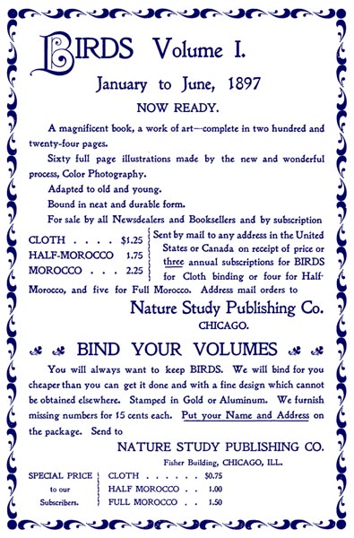 advertisement