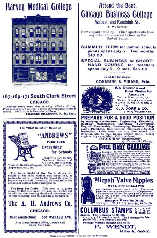 advertisement