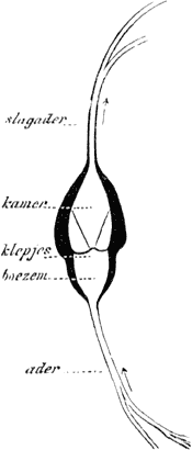 Fig. 21.