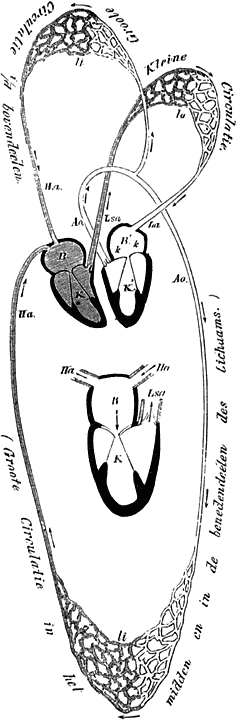 Fig. 25.