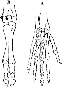 Fig. 28.