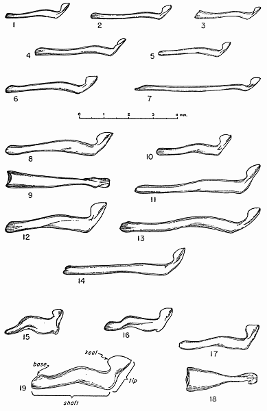 Figs. 1-19. Lateral view of right side, unless otherwise indicated, of the baculum in each of the species of chipmunks (subgenus Neotamias) of western North America