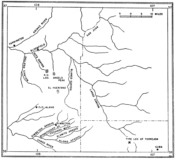 Figure 1. Map of a part of the San Juan Basin, New Mexico, showing location of University of Kansas fossil locality west of Angels Peak.