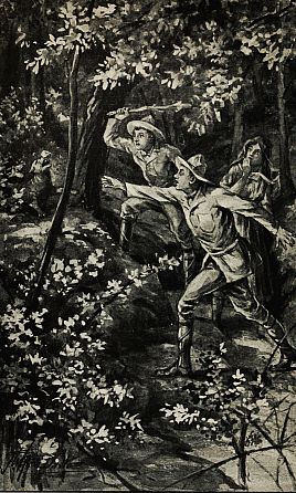 "Good shot, Bob!" cried Thad. "Get another stone, quick, for he's coming after you." Page 146.—The Boy Scouts In the Blue Ridge.