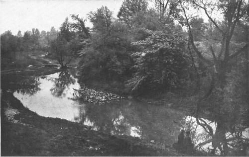 Every stream is wearing away its banks, while trees and grass blades are holding on to the soil with all their roots