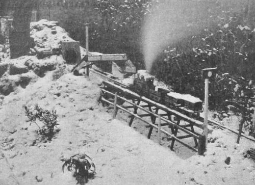 THE AMERICAN TRESTLE BRIDGE AND TUNNEL ENTRANCE.