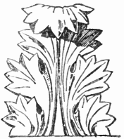 Acanthus Ornament