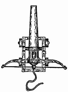 Fig. 78.—A Brownie David (top view.)