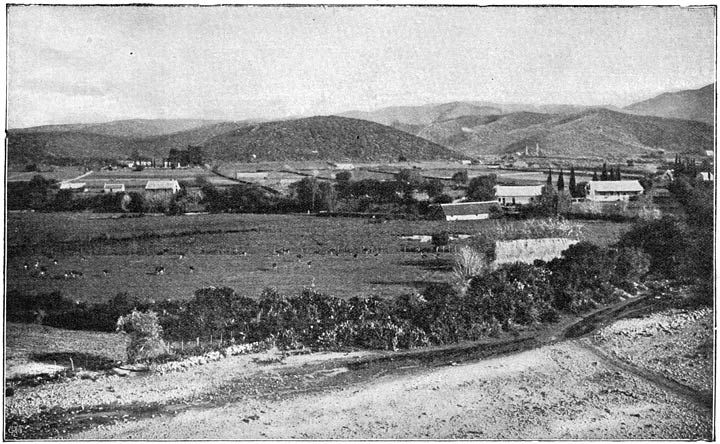 De struisvogelfarm van Schoeman bij Oudtshoorn. (Photo Dr. Oskar Bongard.)