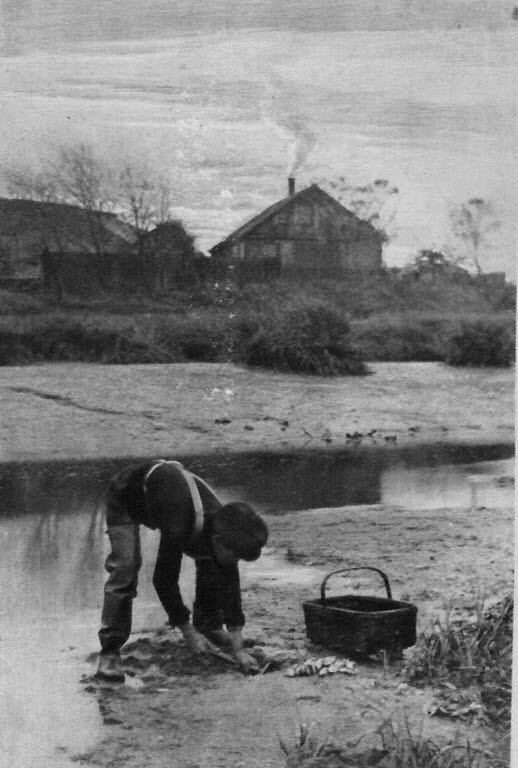 The Clam-Digger