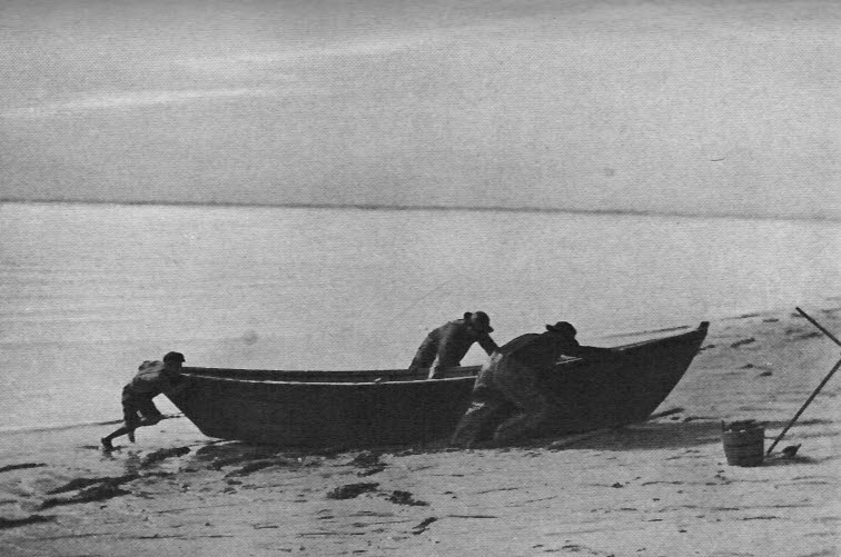 Dragging a dory up on the beach