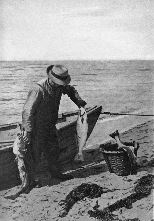 Unloading the day’s catch