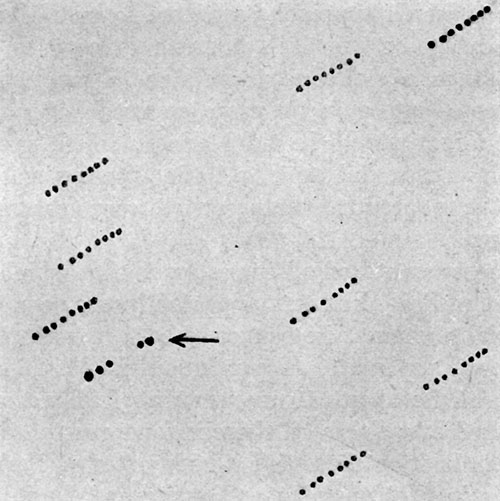 Fig. 133.—Discovery of a variable star by means of photography.—Pickering.