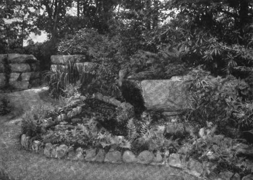 A LILY POND THAT FILLS CHARMINGLY A CORNER OF A GARDEN