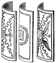 Scutum.