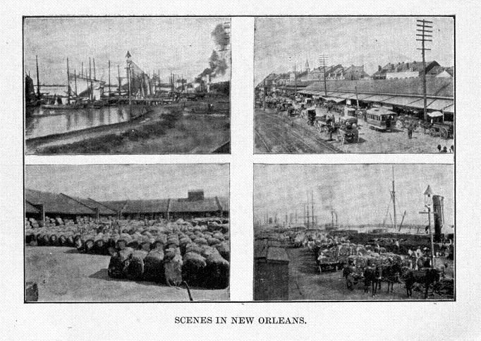 images/image4neworleans.jpg