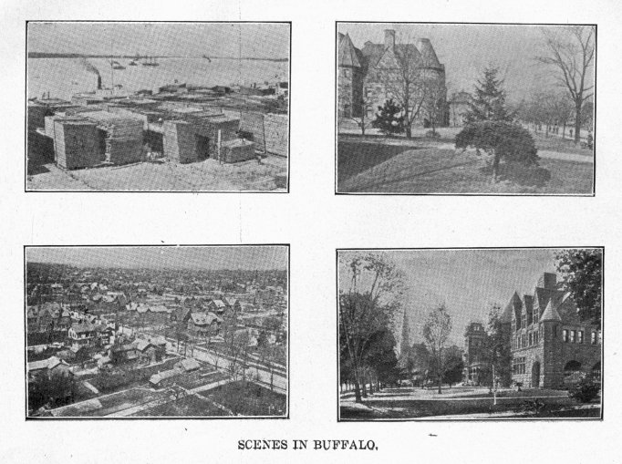 images/image5buffalo.jpg