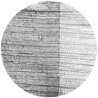 cross-section