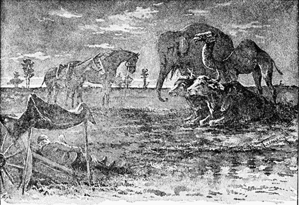 "'ANYBODY CAN BE FORGIVEN FOR BEING SCARED IN THE NIGHT,' SAID THE TROOP-HORSE."