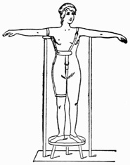 Fig. 60.—Harness Adjusted