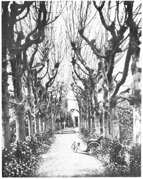 Allée des marronniers dans le jardin du Carmel de Lisieux.  (La petite voiture que l'on voit, après avoir servi au père de Sœur Thérèse-de l'Enfant-Jésus, pendant ses années d'infirmité, fut donnée au Carmel.  C'est dans cette voiture que la servante du Dieu, malade, et installée à cette même place, écrivit les dernières pages de sa «Vie».)