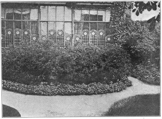 A VIEW OF THE VERANDA OF THE HOUSE IN THE IMPASSE RONSIN