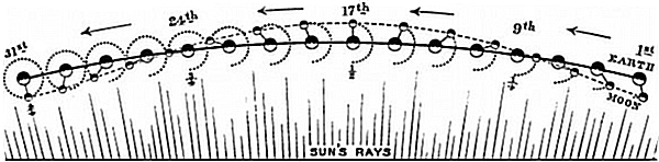 Fig. 2.  Diagram showing the moon's course during one month. The moon and the earth are both moving onwards in the direction of the arrows. The earth moves along the dark line, the moon along the interrupted line --. The dotted curved line .... shows the circle gradually described by the moon round the earth as they move onwards.