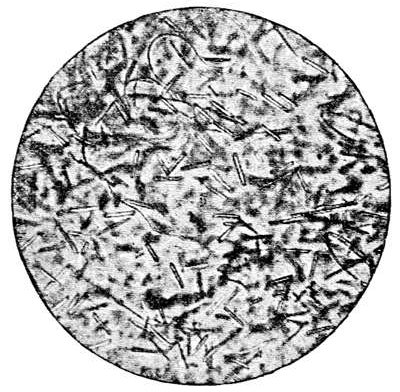 Fig. 42.  A slice of volcanic glass under the microscope, showing well-developed microliths. (After Cohen.)