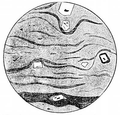 Fig. 44.  Slice of volcanic glass under the microscope, showing large included crystals brought up from inside the volcano in the fluid lava. The dark bands are lines of microliths formed as the lava cooled. (J. Geikie.)