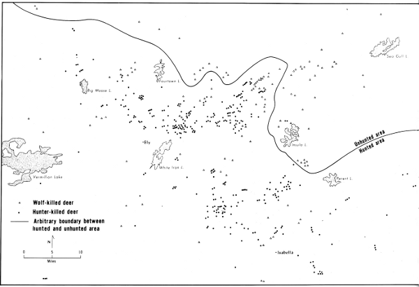 Figure 1.—The study area showing locations where wolf-killed and hunter-killed deer were taken. Line arbitrarily separates the hunted area from the wilderness area.