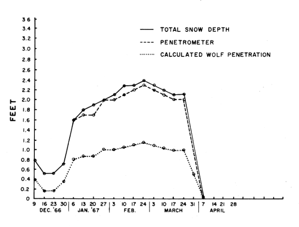 Figure 1.—Snow depth and penetrability by deer and wolves near Isabella, Minnesota, 1966-67.