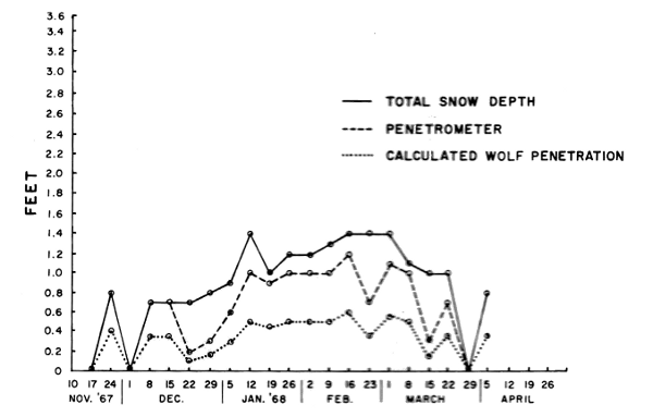 Figure 2.—Snow depth and penetrability by deer and wolves near Isabella, Minnesota, 1967-68.