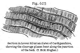 Fig. 625: Section in Lower Silurian slates of Cardiganshire, showing the cleavage planes bent along the junction of the beds.