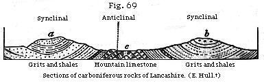 Section of carboniferous rocks of Lancashire.