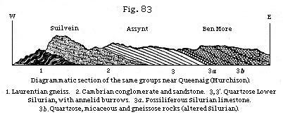 Fig. 83: Diagrammatic section of the same groups near Queenaig (Murchison).