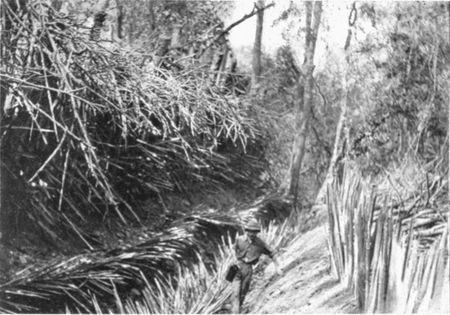 THE STOCKADE AND DITCH AT FORT BOWER.