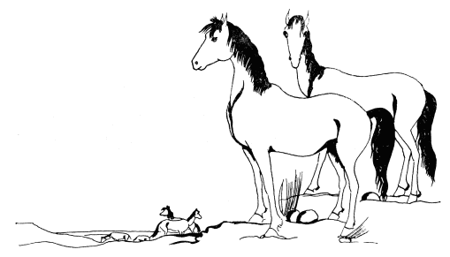 horses