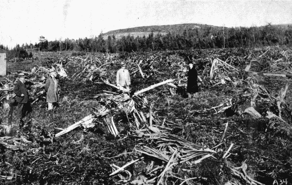 By permission of Dupont Powder Co., Wilmington, Delaware  First Effect of the Dynamite  Clearing a field of tree stumps by blowing them up with dynamite.—See p. 16