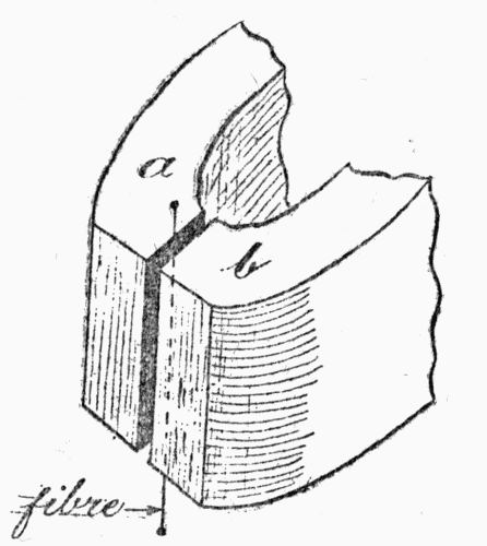 Fig. 2.—Here we see the working parts of the "String Galvanometer," by which the beating of the heart can be registered electrically. The current flows down the fine silvered fibre, between the poles, a and b, of a powerful magnet. As the current varies, the fibre bends more or less.