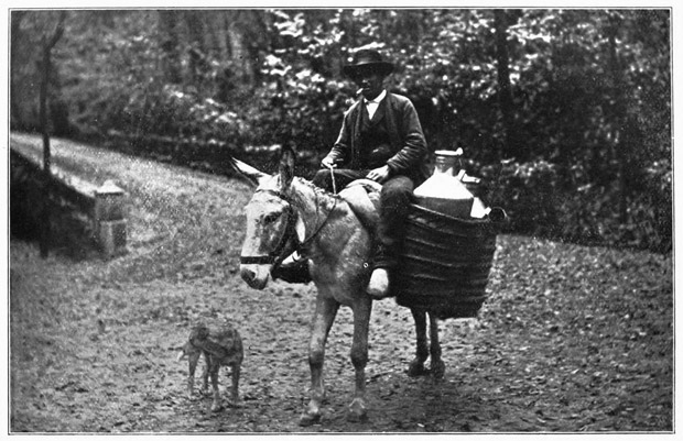 A Milkman of Granada