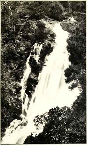 SURPRISE CREEK FALLS, CAIRNS RAILWAY