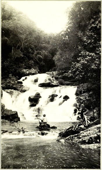 SURPRISE CREEK CASCADE, CAIRNS RAILWAY