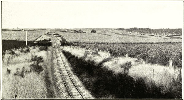 CANEFIELDS, ISIS RAILWAY