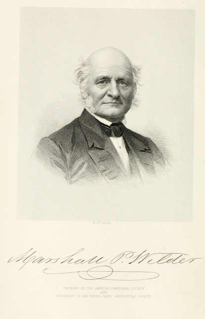 Marshall P. Wilder  PRESIDENT OF THE AMERICAN POMOLOGICAL SOCIETY AND PRESIDENT OF THE UNITES STATES AGRICULTURAL SOCIETY.