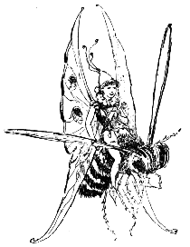 Fairy riding a bee